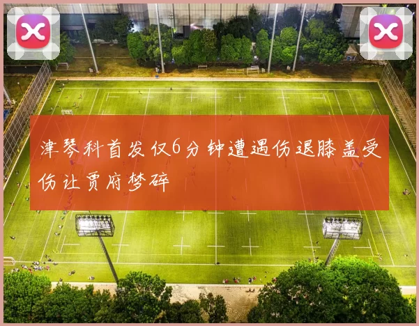 津琴科首发仅6分钟遭遇伤退膝盖受伤让贾府梦碎